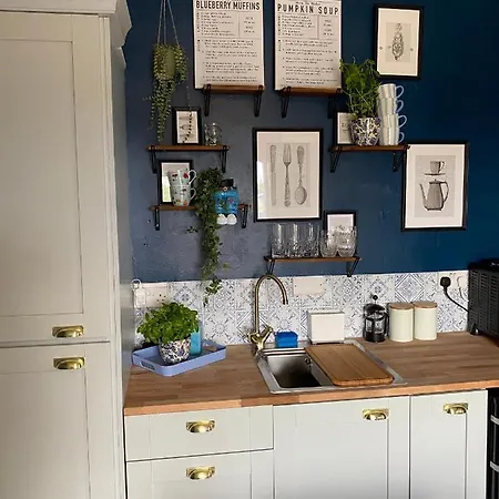 Blueberry Tiny Holiday home Kilmurry McMahon