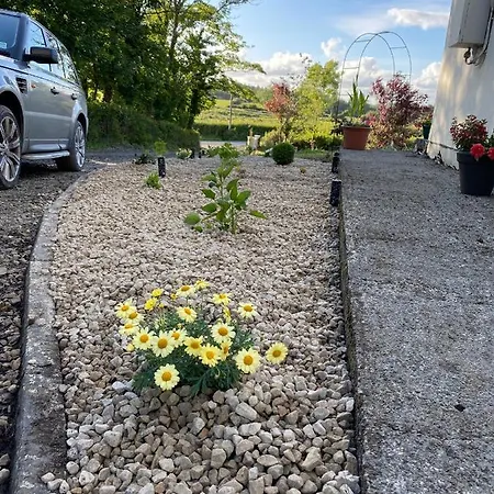 Blueberry Tiny Holiday home Kilmurry McMahon