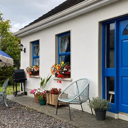 Blueberry Tiny Holiday home Kilmurry McMahon