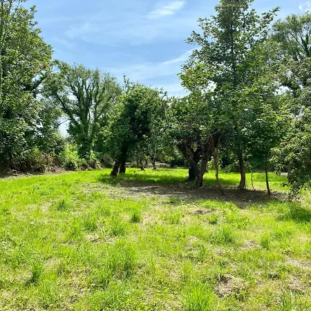 Blueberry Tiny بيت للعطل Kilmurry McMahon