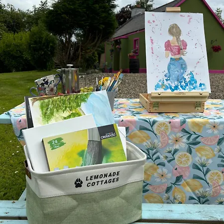 بيت للعطل Blueberry Tiny Kilmurry McMahon