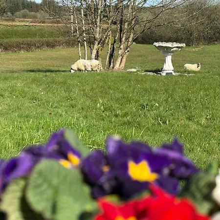 Blueberry Tiny بيت للعطل