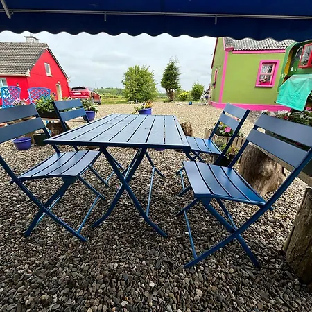 Blueberry Tiny Kilmurry McMahon