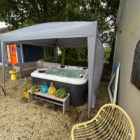 Blueberry Tiny Kilmurry McMahon