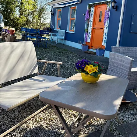 بيت للعطل Blueberry Tiny *