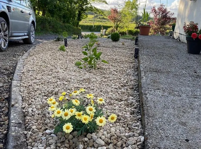 Blueberry Tiny Holiday home Kilmurry McMahon