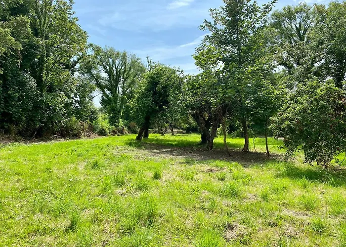 Blueberry Tiny Casa de Férias Kilmurry McMahon