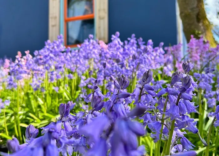 Blueberry Tiny Casa de Férias *