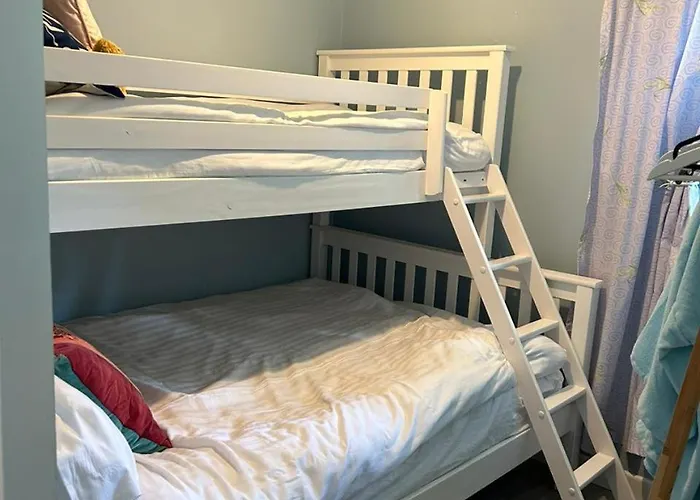 Blueberry Tiny * Kilmurry McMahon