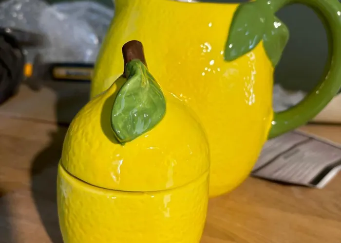 Blueberry Tiny Casa de Férias Kilmurry McMahon