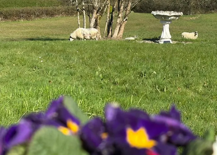 Blueberry Tiny Casa de Férias