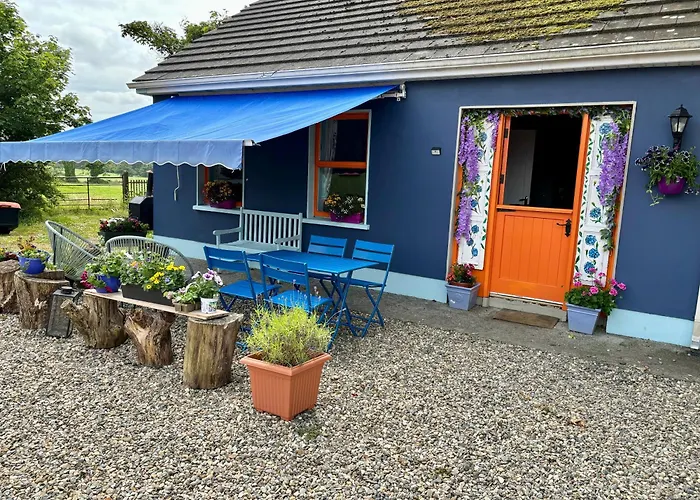 Blueberry Tiny * Kilmurry McMahon